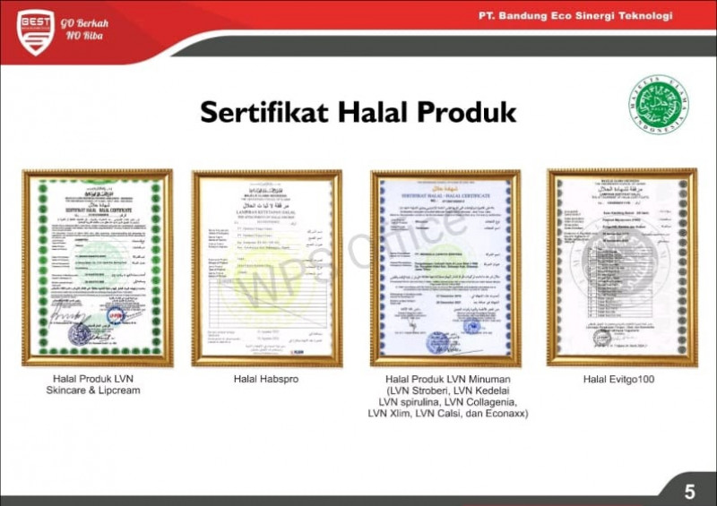 First slide
