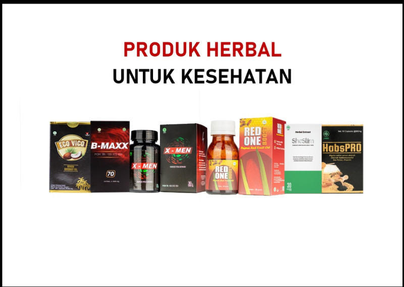 First slide