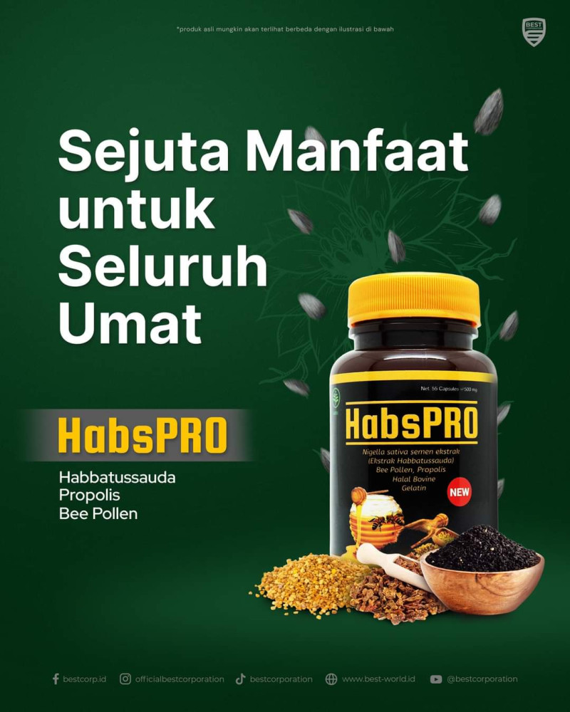 Harga dan Cara Pemesanan