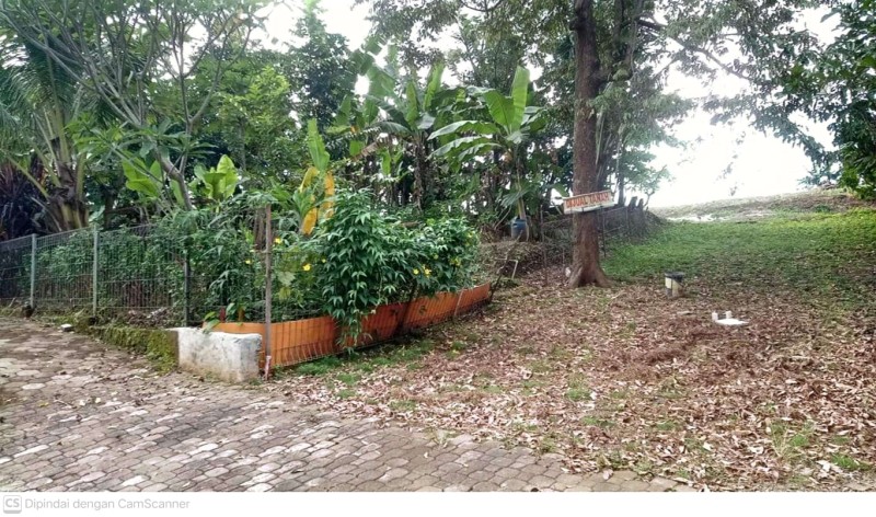 Foto Lokasi Tanah 4