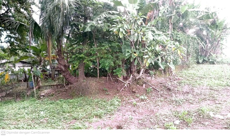 Tanah Mijen