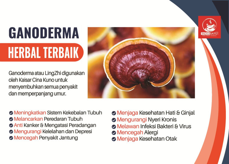 First slide