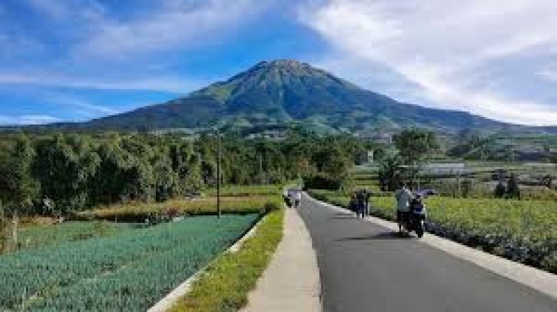 Tanah Dekat Nepal Van Java