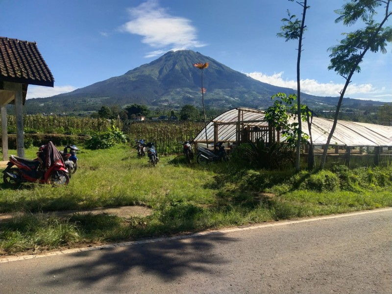 Tanah Dekat Nepal Van Java