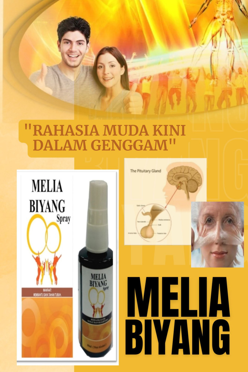 First slide