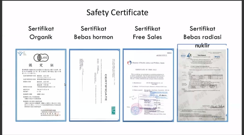 First slide