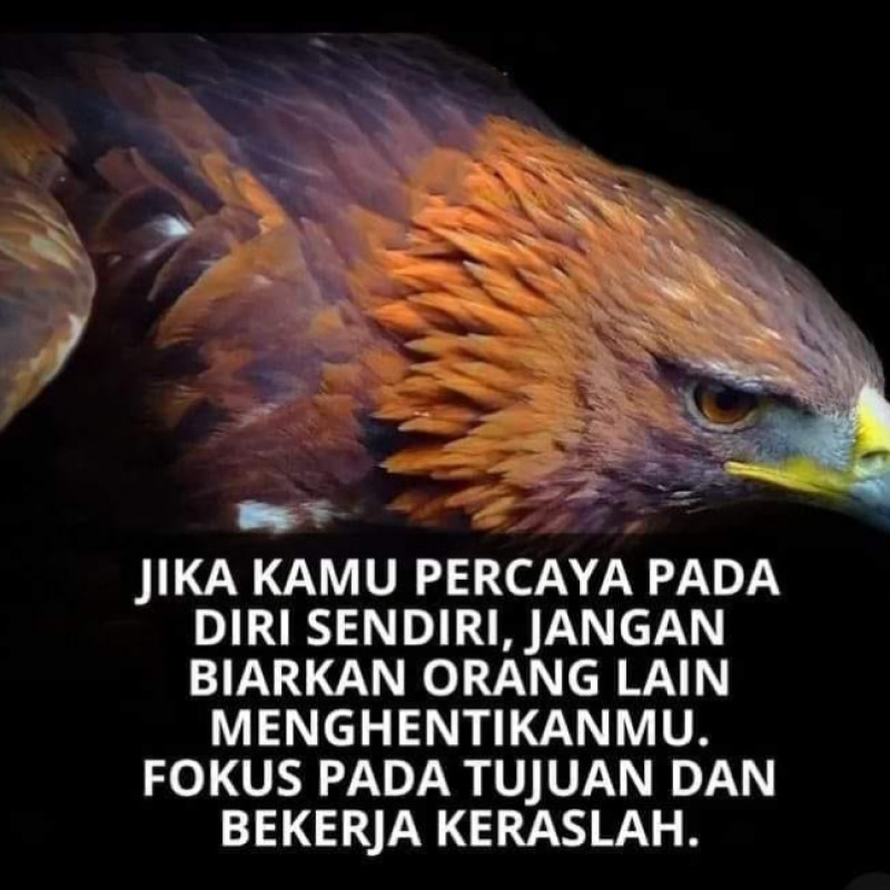 First slide